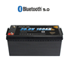 24v 160 ah Batteria Bluetooth al litio BL24160