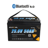 Batteria Bluetooth al litio 24V 50Ah BL2450