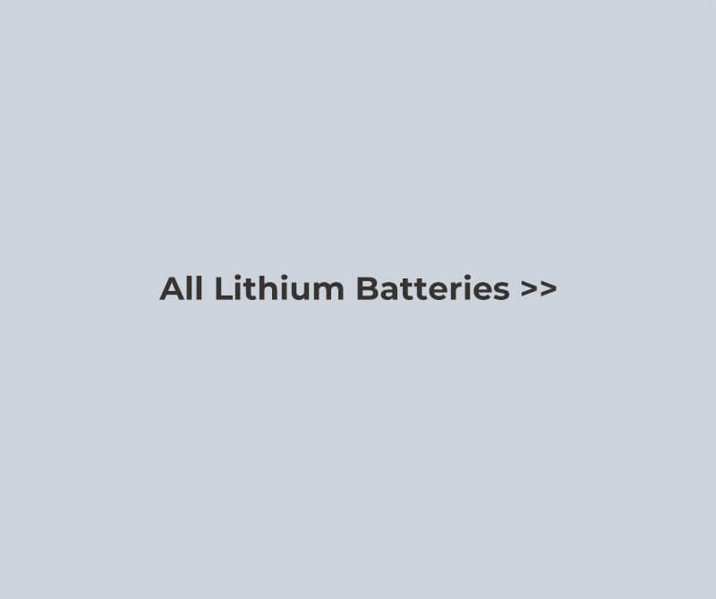 Tutte le batterie al litio